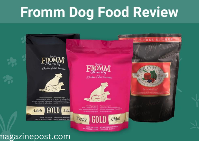 Fromm Dog Food Ingredients: Understanding the Quality in 2024