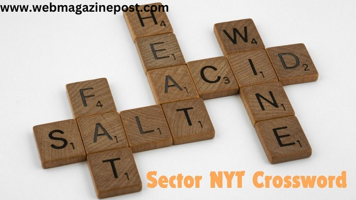 Sector NYT Crossword: 100% Ultimate Guide to Boost Your Crossword Skills